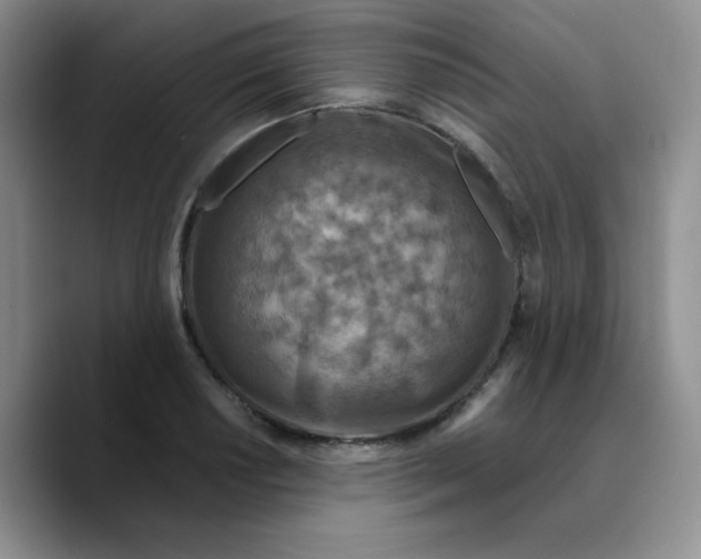 X0000089701034200707201736