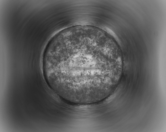 X0000089701035200707201736