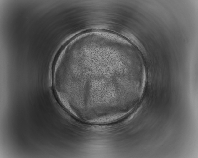 X0000089701036200707201736
