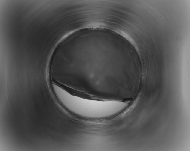 X0000089701037200707201736