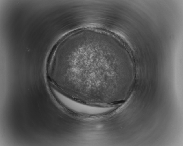 X0000089701038200707201736