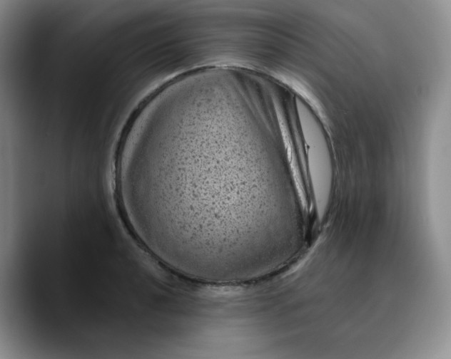 X0000089701040200707201736
