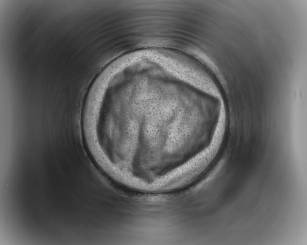 X0000089701041200707201736
