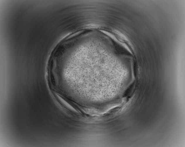 X0000089701042200707201736