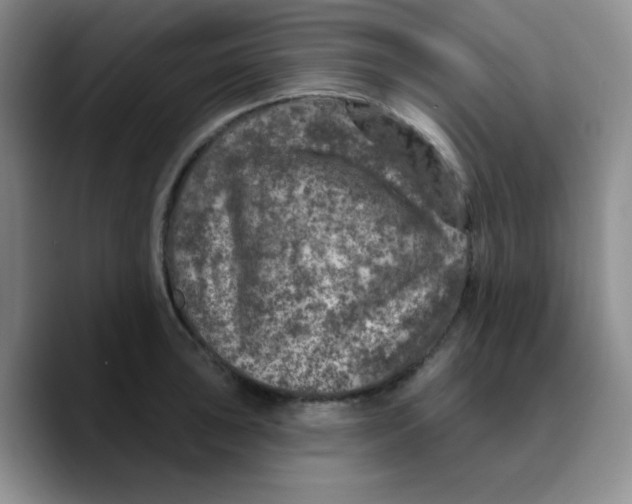 X0000089701043200707201736