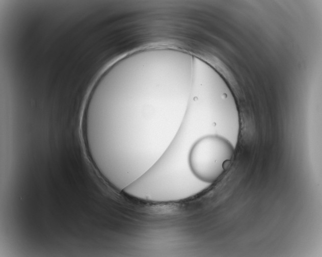 X0000089701044200707201736
