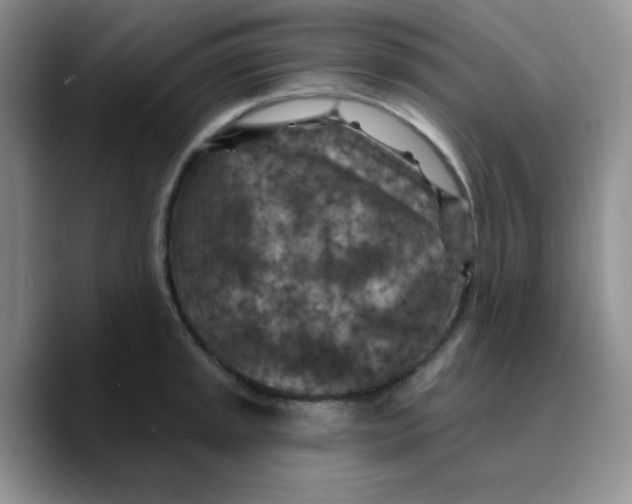 X0000089701045200707201736
