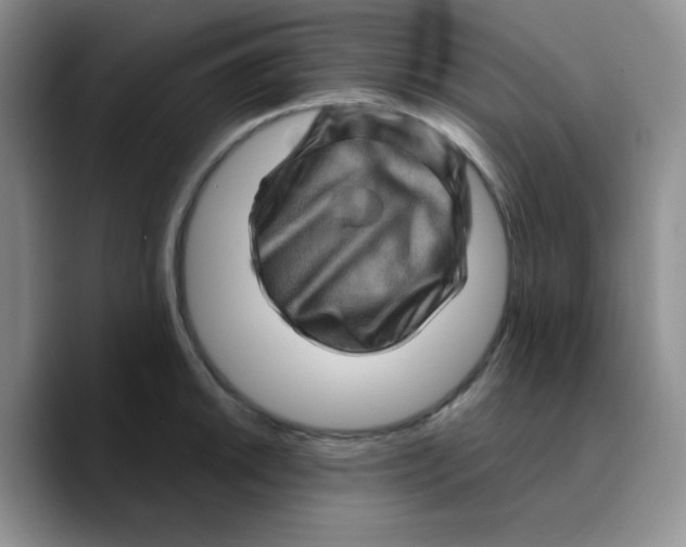 X0000089701046200707201736