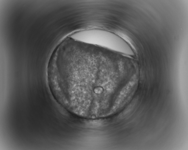 X0000089701047200707201736