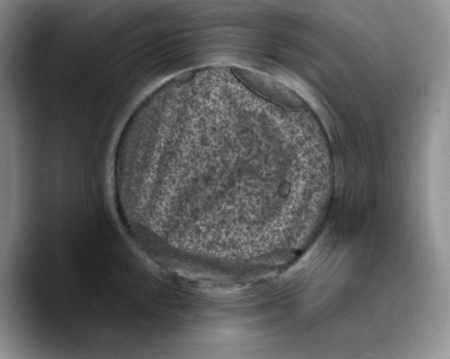 X0000089701048200707201736