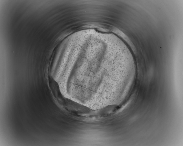 X0000089701049200707201736