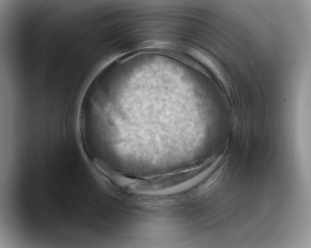 X0000089701050200707201736