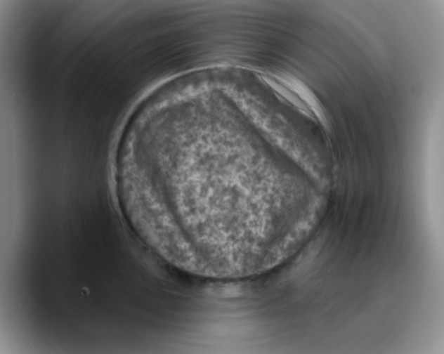 X0000089701051200707201736