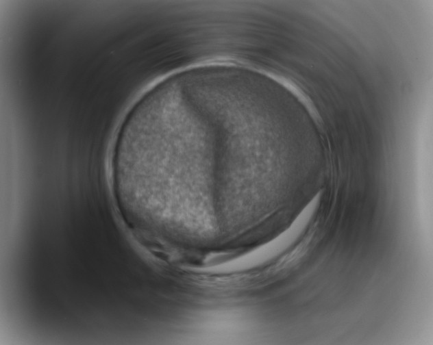 X0000089701054200707201736