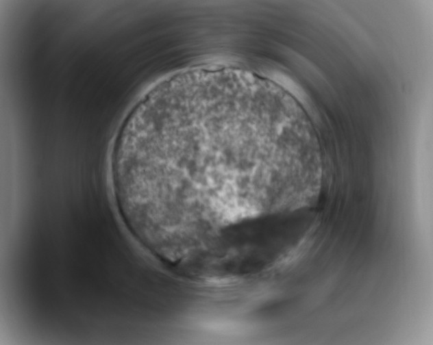 X0000089701055200707201736