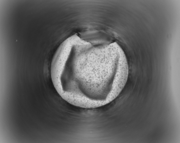 X0000089701058200707201736