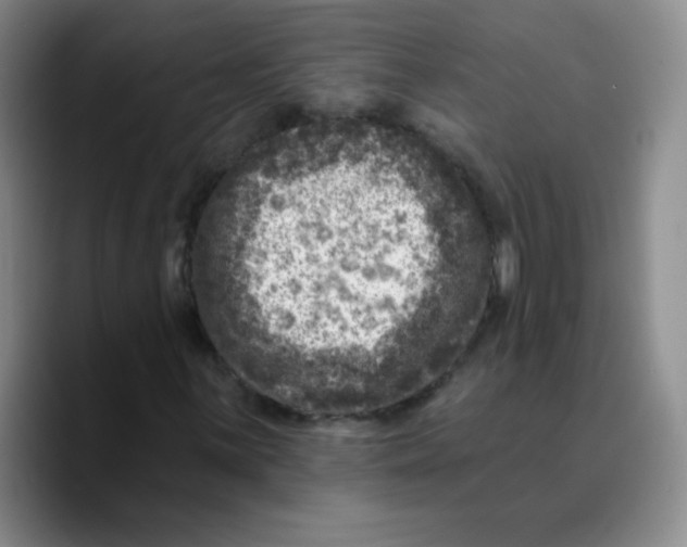 X0000089701059200707201736
