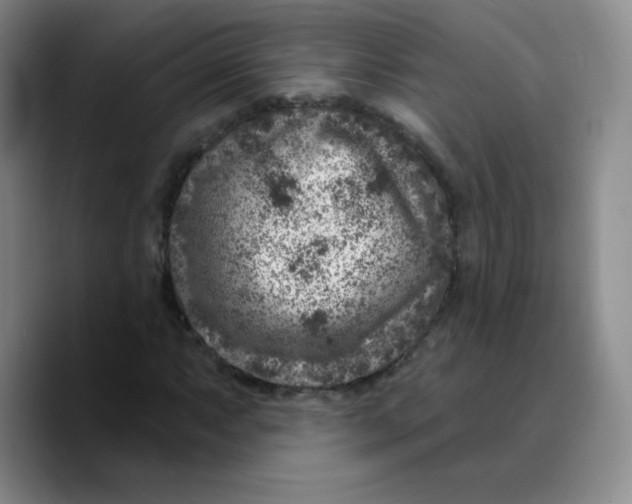 X0000089701063200707201736