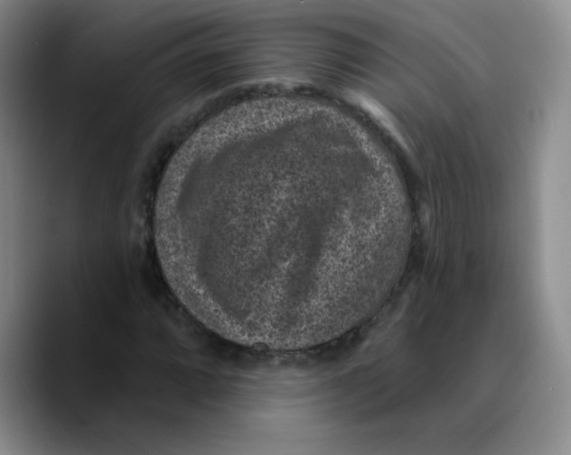 X0000089701064200707201736