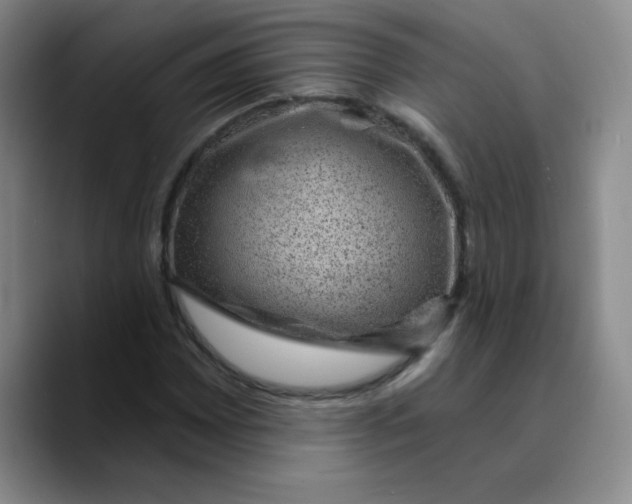 X0000089701065200707201736
