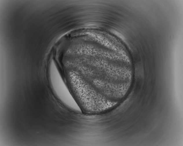 X0000089701066200707201736