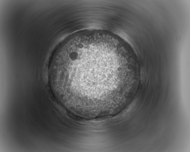 X0000089701067200707201736