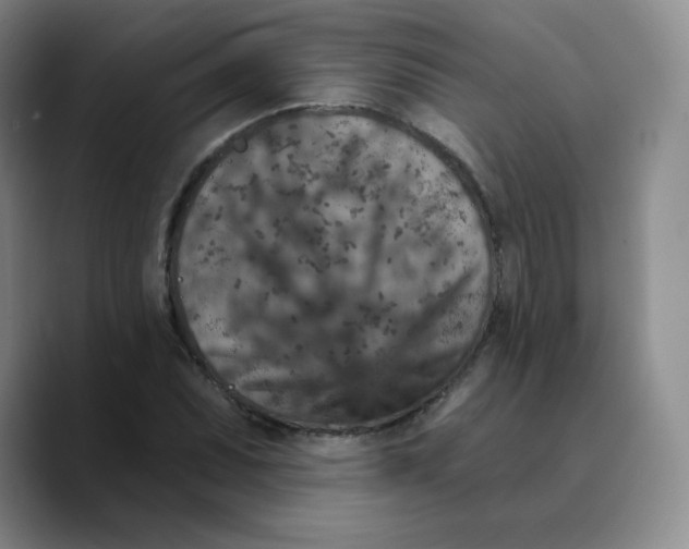X0000089701071200707201736