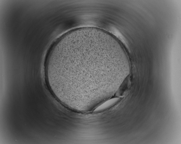 X0000089701072200707201736