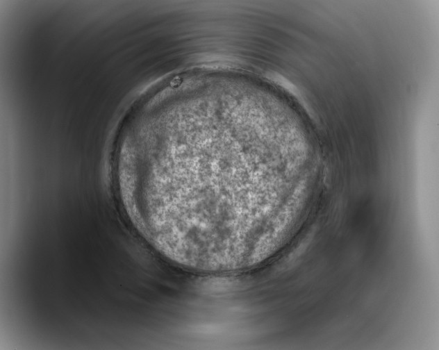 X0000089701074200707201736