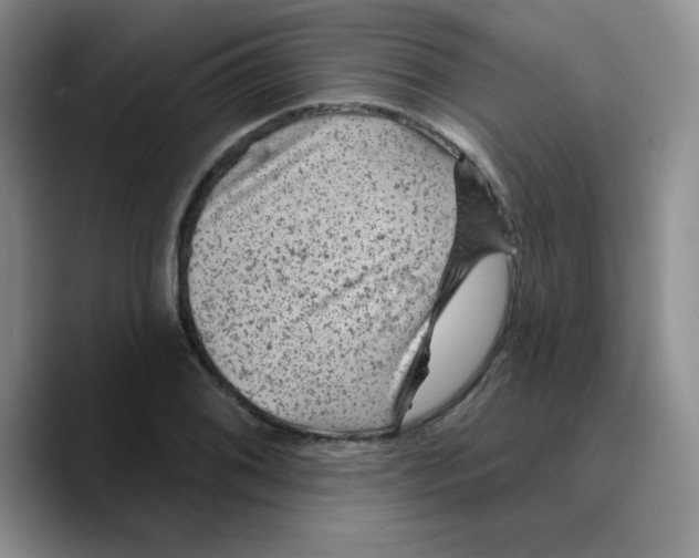 X0000089701076200707201735