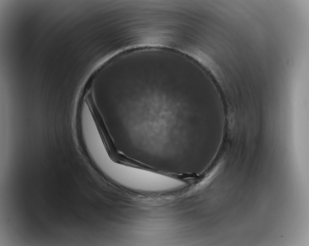 X0000089701077200707201735