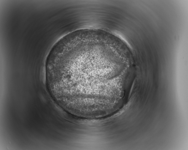 X0000089701079200707201735