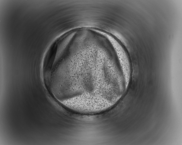 X0000089701080200707201735