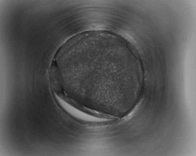 X0000089701081200707201735