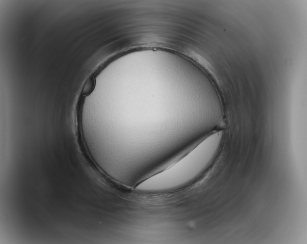 X0000089701082200707201735
