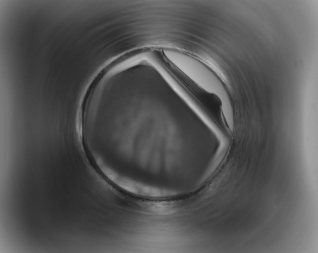 X0000089701084200707201735