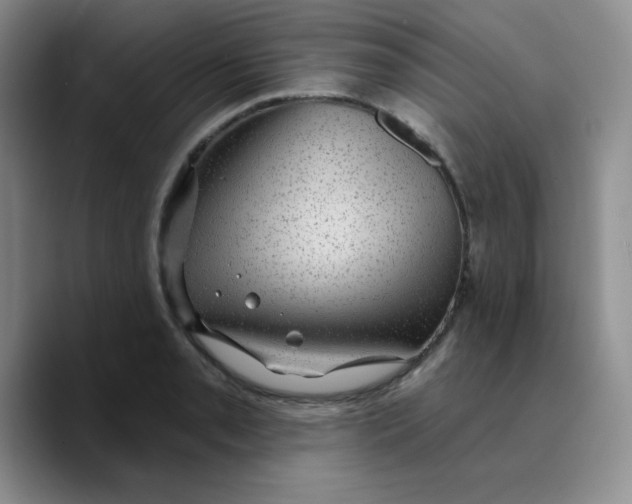X0000089701085200707201735