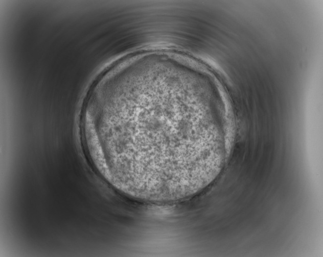X0000089701086200707201735