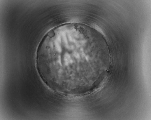 X0000089701087200707201735