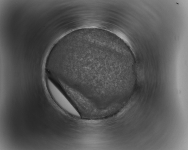 X0000089701088200707201735