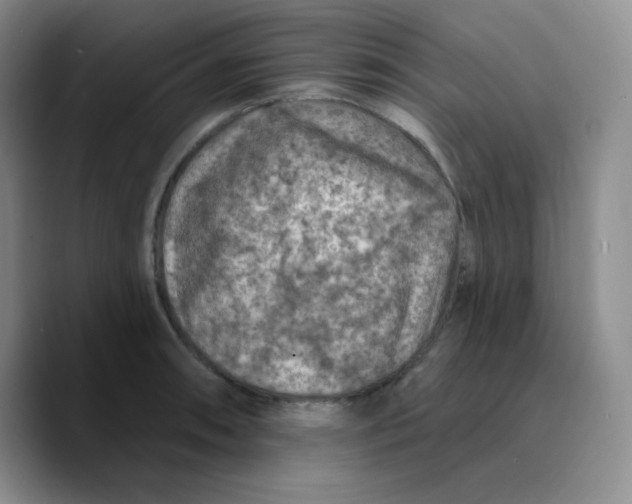 X0000089701090200707201735