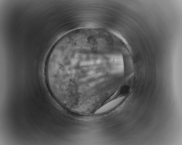 X0000089701091200707201735