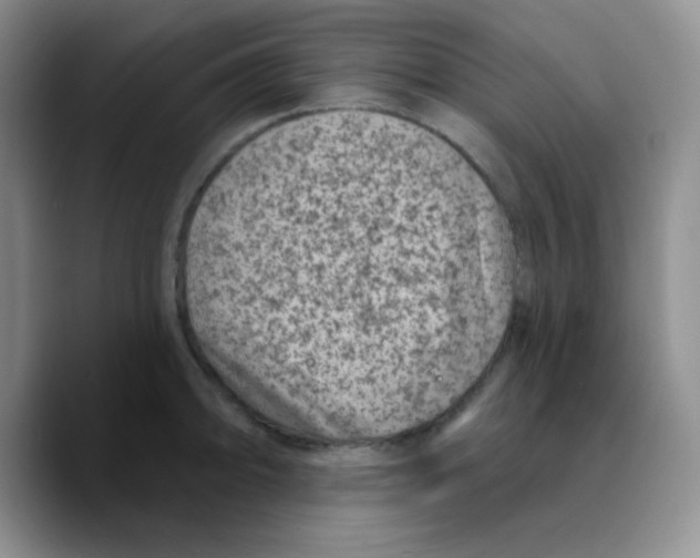 X0000089701094200707201735