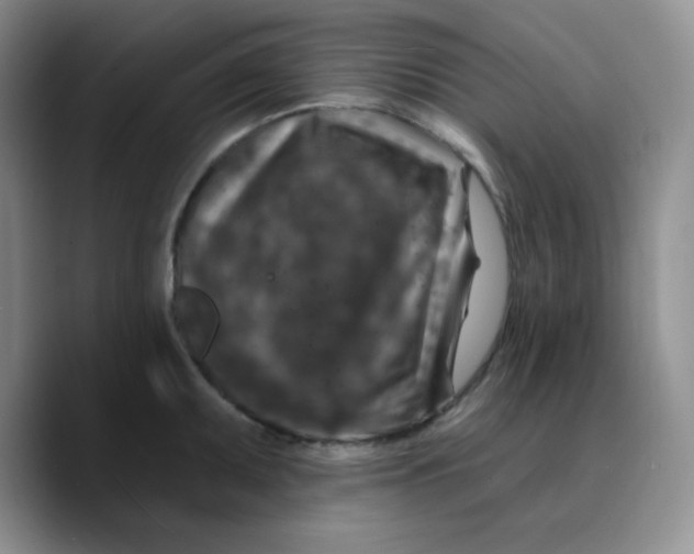 X0000089701095200707201735