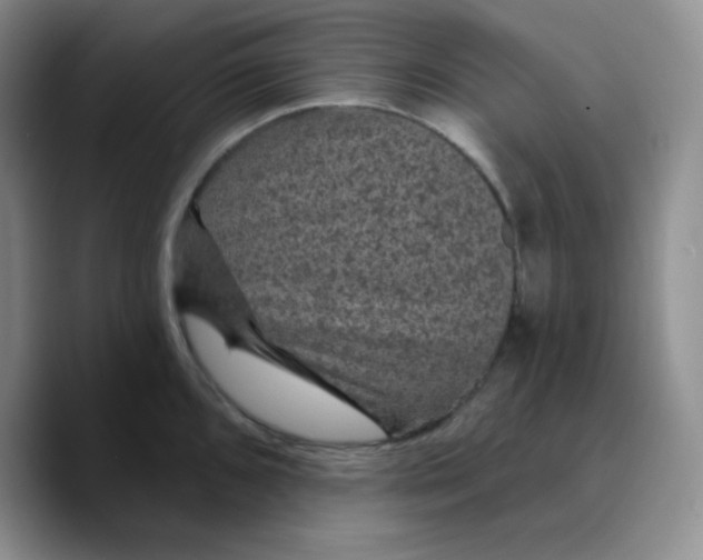 X0000089701096200707201735