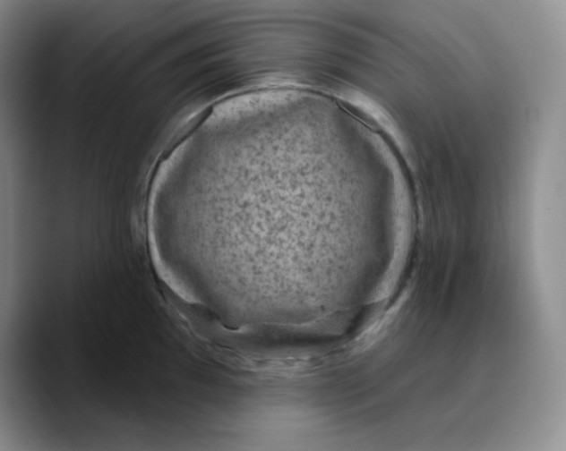 X0000089701097200707201735