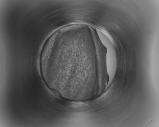 X0000089701100200707201735
