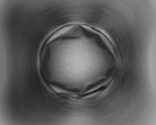 X0000089701101200707201735