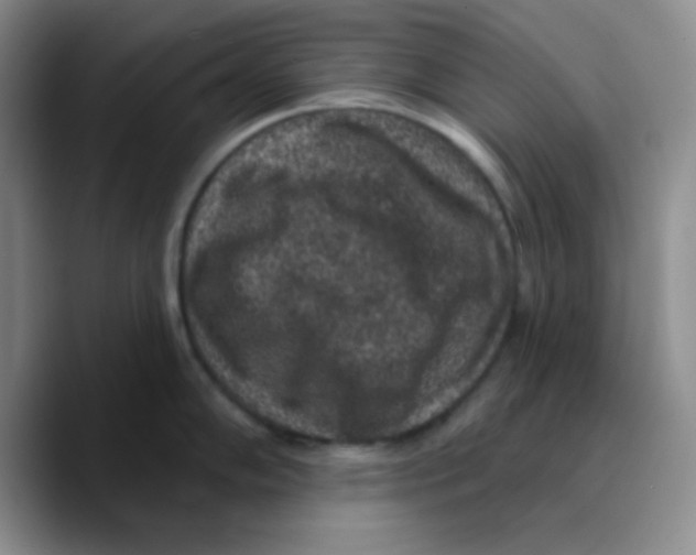 X0000089701102200707201735