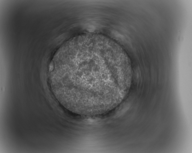 X0000089701105200707201734